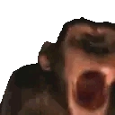 MONKE