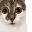 catAware