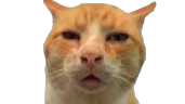 huh emote