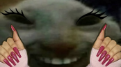 xddperiodt emote