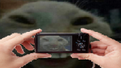 xddPic emote