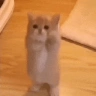 !jump emote