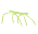 stickbug emote in 7TV