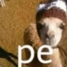pe emote