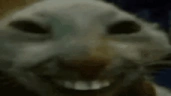 xddLaugh emote