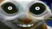 xddiminyourwalls emote