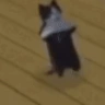 OHEMGODNOWAYCATBREAKINGITDOWNTHATSCRAZY emote