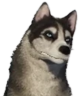 Six emote