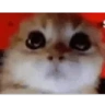 ANGRY emote