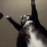 Jigglin emote