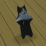 catBreakdance emote