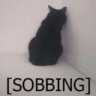 sobbing emote