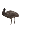 stompyLeave emote