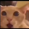 ala emote