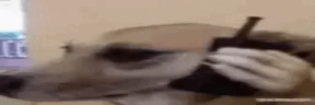 alo emote