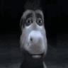 невердай emote
