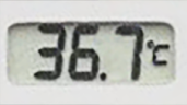 36c emote