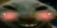xddFlush emote