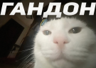 GANDON emote