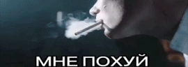 pohuy emote