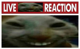 livexddreaction emote