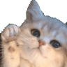 Heyyy emote