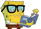 NERJ emote