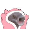 BLOOOONKIES emote
