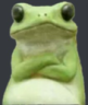 Sapo emote