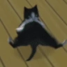 BREAKDANCECAT emote