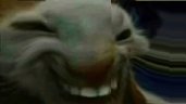 ccd emote