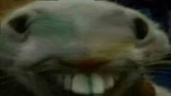 xpp emote