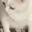 catGag emote in 7TV