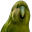 RareParrot