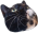 RoxyPotato