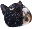 RoxyPotato emote
