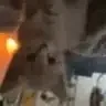 AREYOUAUSTRALIAN emote