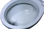 -5 emote