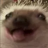 ahsii emote