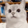 nope emote