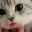 Emote