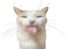 bleh emote