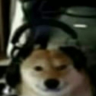 DogCaster emote