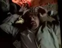 waltSCHIZO emote