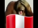 peru emote