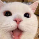 HappyPag Twitch emote