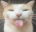 Emote