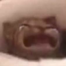 waaa emote