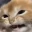 Emote