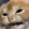 gremlin emote